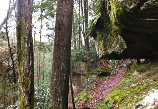 Wildcat Creek Trail - 7